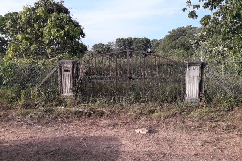 WhatsApp Image 2019-08-15 at 9.20.12 AM.jpeg